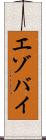 エゾバイ Scroll