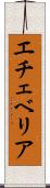 エチェベリア Scroll