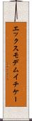 エックスモデムイチケー Scroll