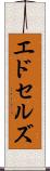 エドセルズ Scroll