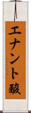 エナント酸 Scroll