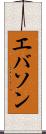 エバソン Scroll