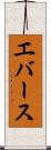 エバース Scroll