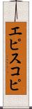 エピスコピ Scroll