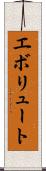 エボリュート Scroll