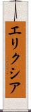 エリクシア Scroll
