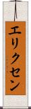 エリクセン Scroll