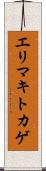 エリマキトカゲ Scroll
