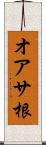 オアサ根 Scroll