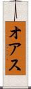 オアス Scroll