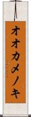オオカメノキ Scroll
