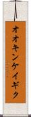 オオキンケイギク Scroll