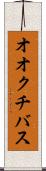 オオクチバス Scroll
