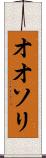 オオソリ Scroll