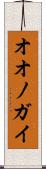 オオノガイ Scroll