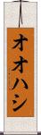 オオハシ Scroll