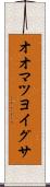 オオマツヨイグサ Scroll
