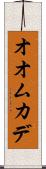 オオムカデ Scroll