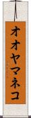 オオヤマネコ Scroll