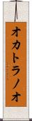 オカトラノオ Scroll