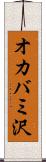 オカバミ沢 Scroll