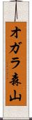 オガラ森山 Scroll
