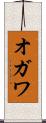 オガワ Scroll