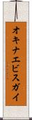オキナエビスガイ Scroll