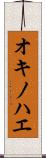 オキノハエ Scroll