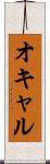 オキャル Scroll