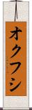 オクフシ Scroll