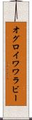 オグロイワワラビー Scroll