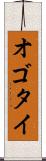オゴタイ Scroll