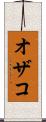 オザコ Scroll