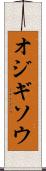 オジギソウ Scroll
