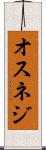 オスネジ Scroll
