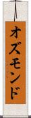 オズモンド Scroll