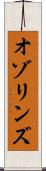 オゾリンズ Scroll