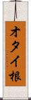 オタイ根 Scroll