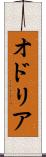 オドリア Scroll