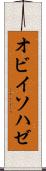 オビイソハゼ Scroll