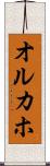 オルカホ Scroll