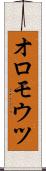 オロモウツ Scroll