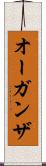 オーガンザ Scroll