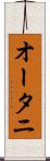 オータニ Scroll