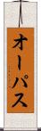 オーパス Scroll