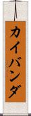 カイバンダ Scroll