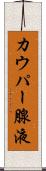 カウパー腺液 Scroll