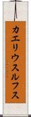 カエリウスルフス Scroll