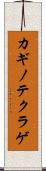 カギノテクラゲ Scroll